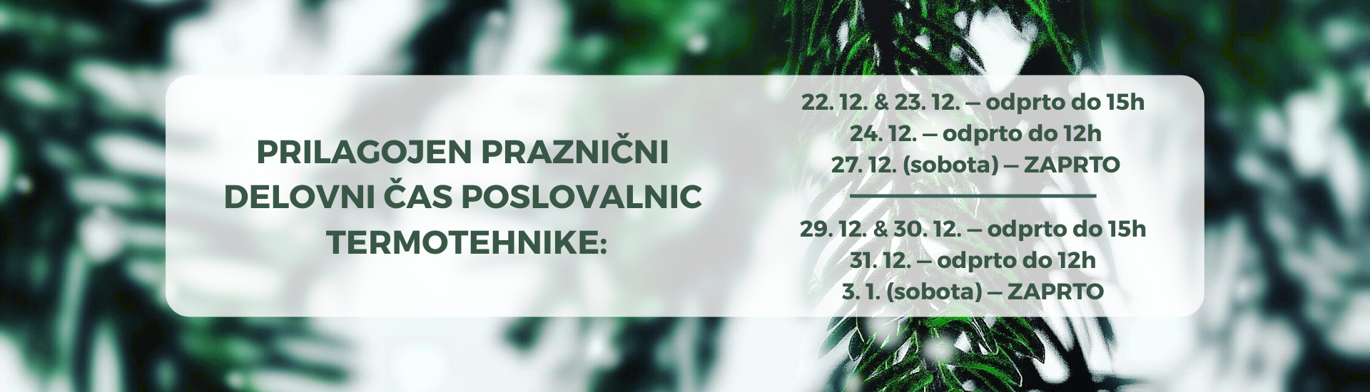 Praznični delovni čas 2025